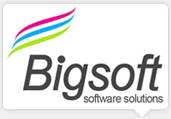 סימפלי סמארט – מיתוג ועיצוב אתרים – bigsoft