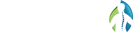 אורטופדיקס